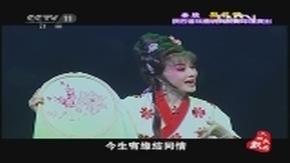 秦腔《梨花情》全场 张蓓,李青,王小平主演