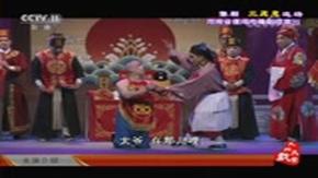 豫剧《三愿意,拾女婿》选段 王艺红主演