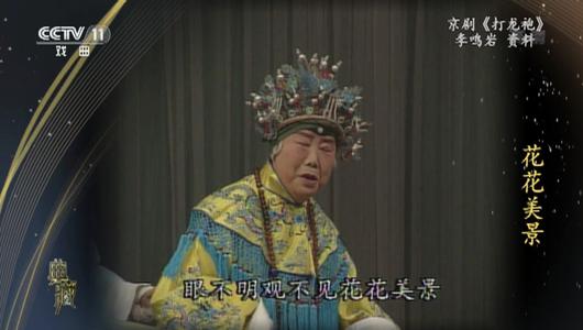 京剧《打龙袍》选段 李鸣岩主演